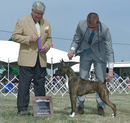 Winners Bitch at Bell Vernon KCUnder judge Mr.Richard Lopuschuck 6-28-15