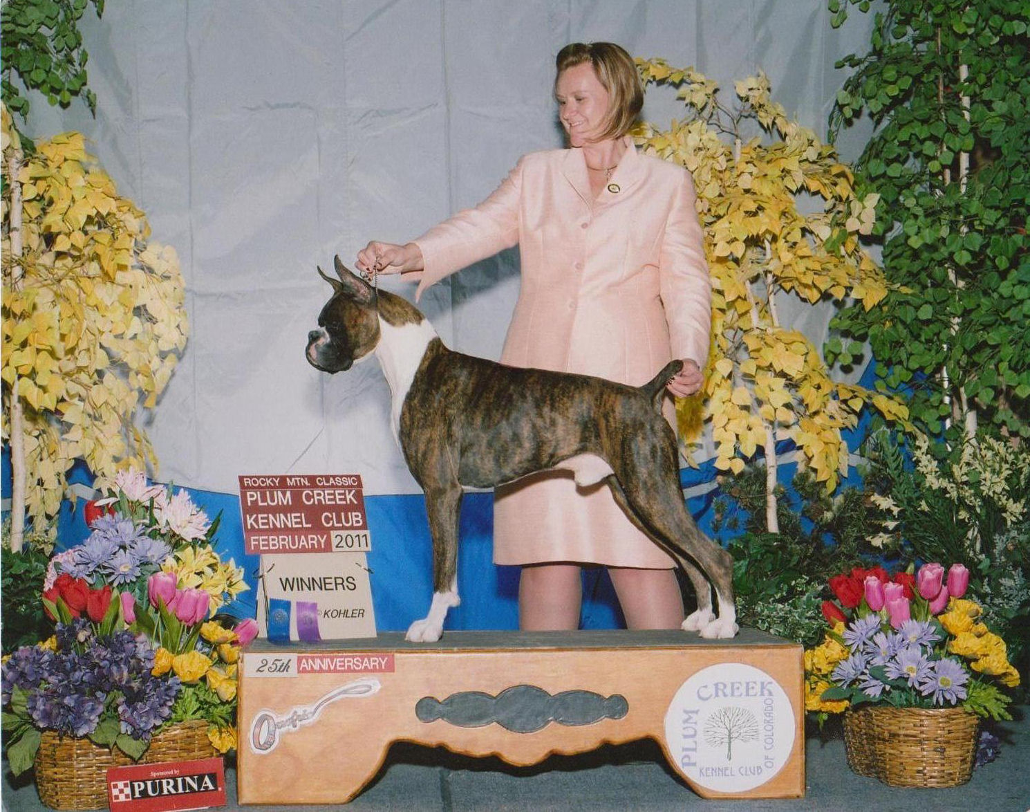 WD under judge Barbara Dempsey Alderman for 2 points.  Justin's handler is Kellie Miller.